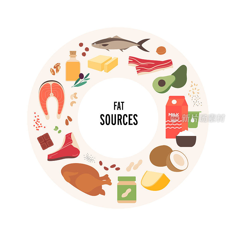 Food guide concept. Vector flat modern illustration. Fat sources food plate infographic circle frame with label. Colorful food and meal icon set of meat, seafood, vegetables and dairy products.